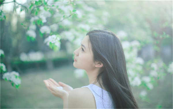 新河验血查男女几周可以验(验血查男女结果图)